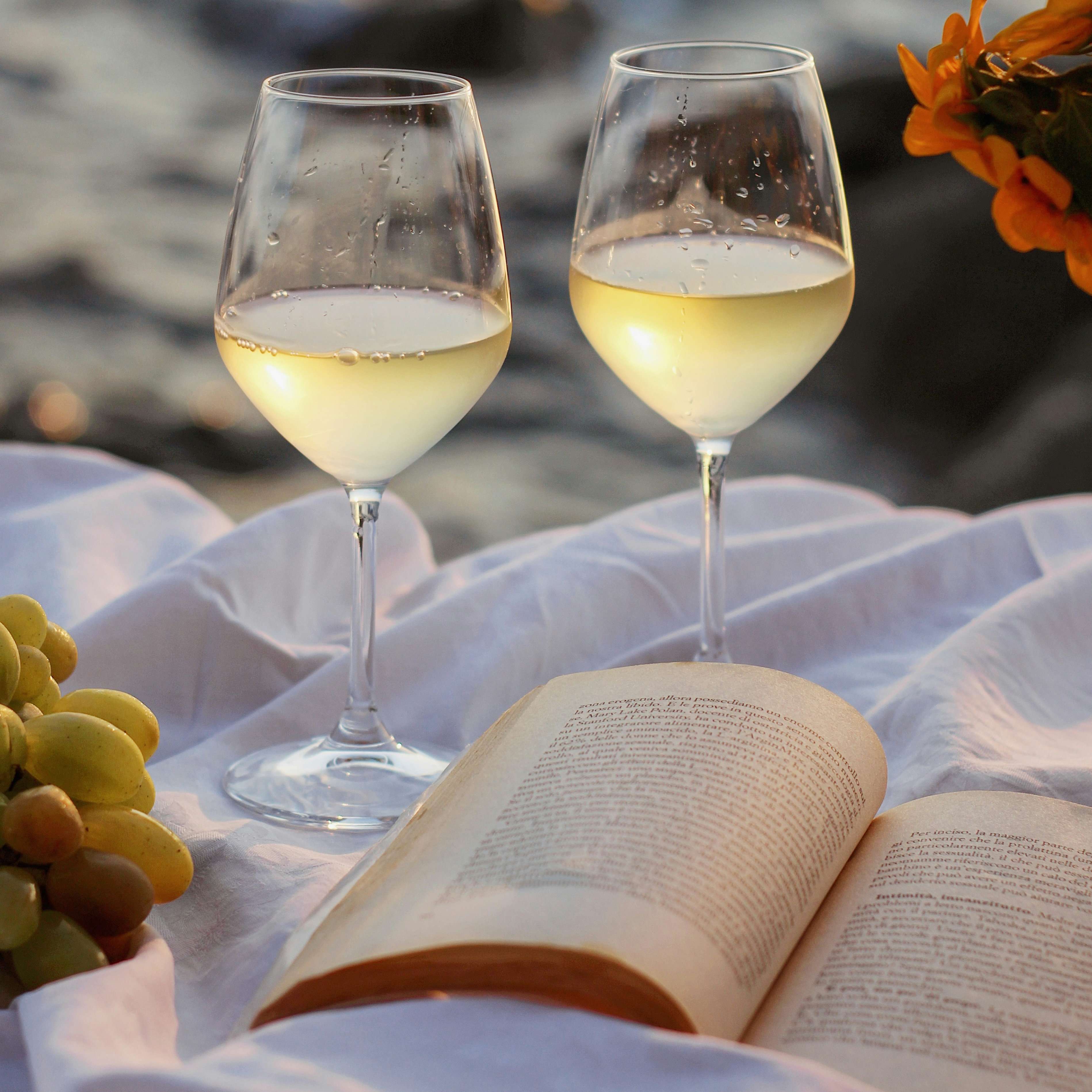 Wine and book on beach